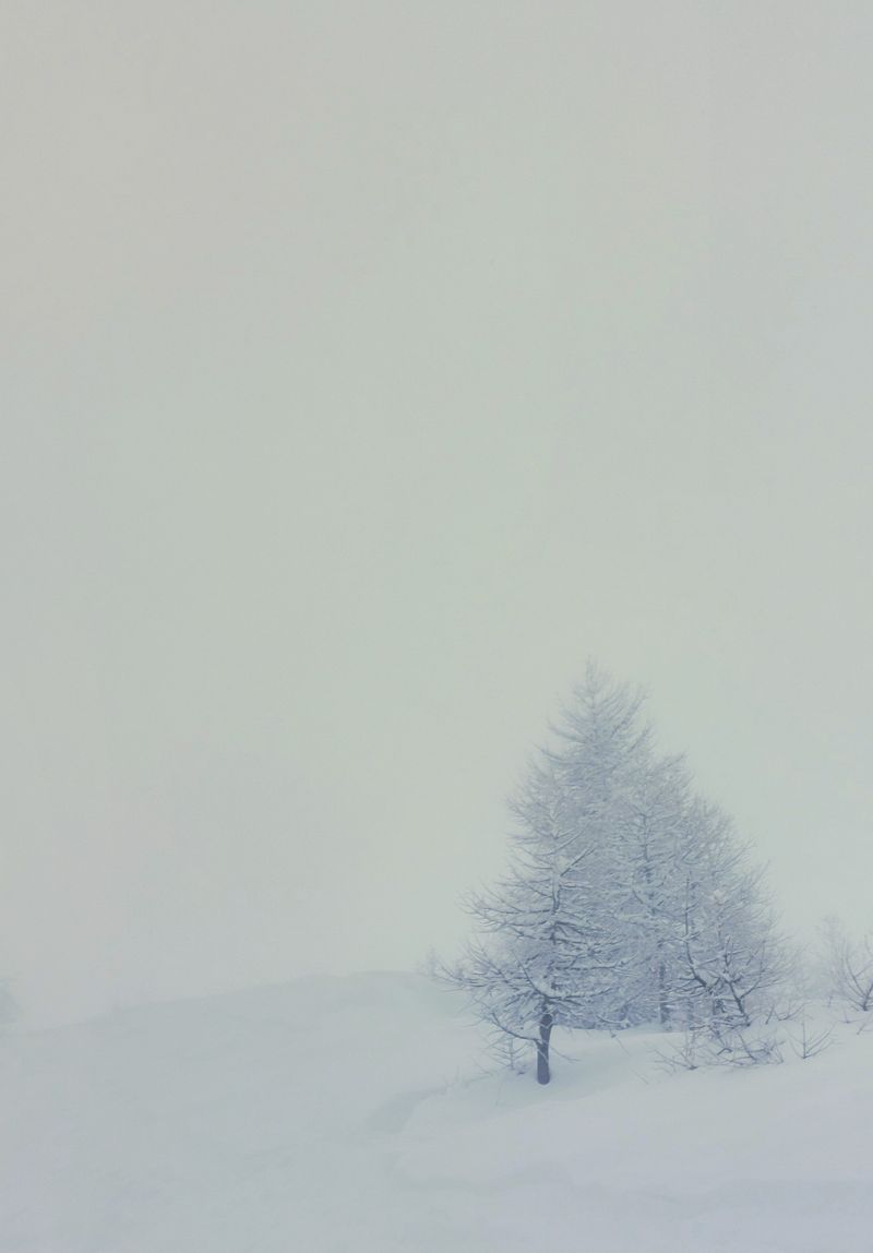 Frost