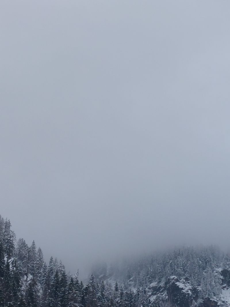 Lost in the fog
